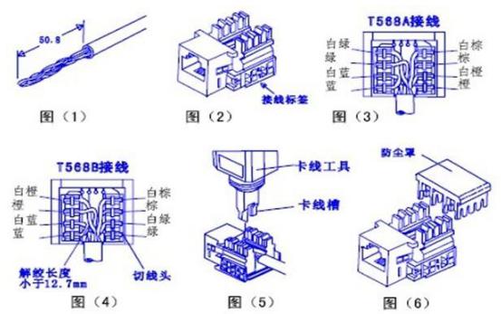 猴吉吉教您簡單快速裝網線的方法，做網線頭的顏色順序